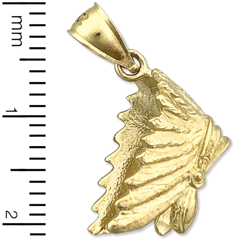 14K Gold 3-D Indianer-Kopfschmuck-Charm
