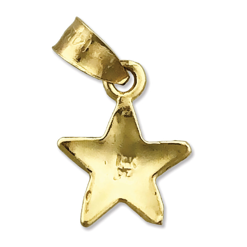 14K Gold Stern-Charm