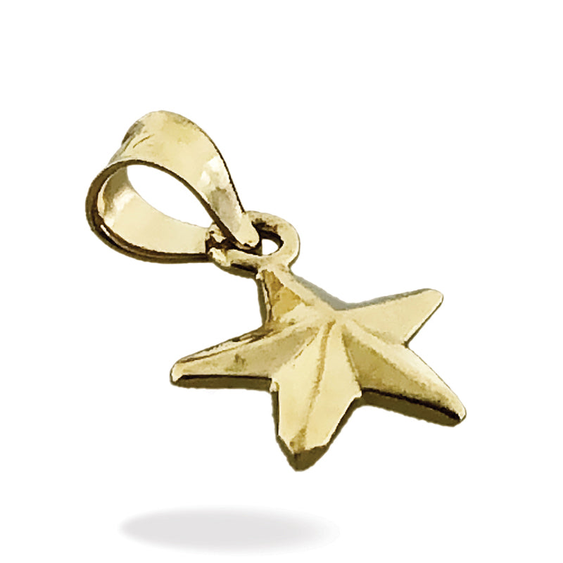 14K Gold Stern-Charm