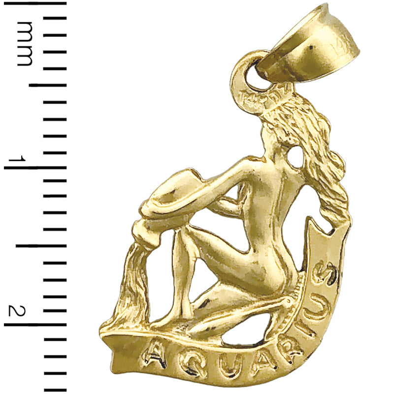 14K Gold 3-D Sternzeichen Wassermann Charm