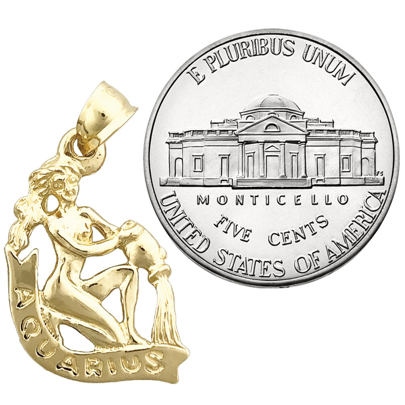 14K Gold 3-D Sternzeichen Wassermann Charm