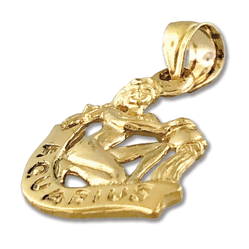 14K Gold 3-D Sternzeichen Wassermann Charm
