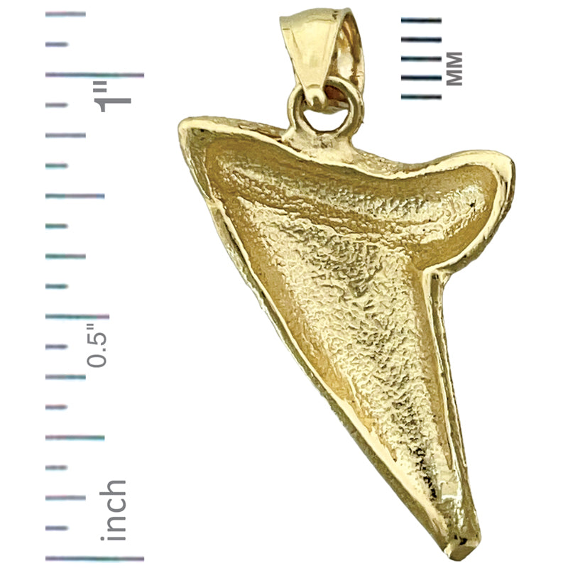 14K Gold Hai-Zahn-Anhänger