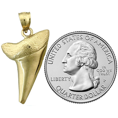 14K Gold Hai-Zahn-Anhänger
