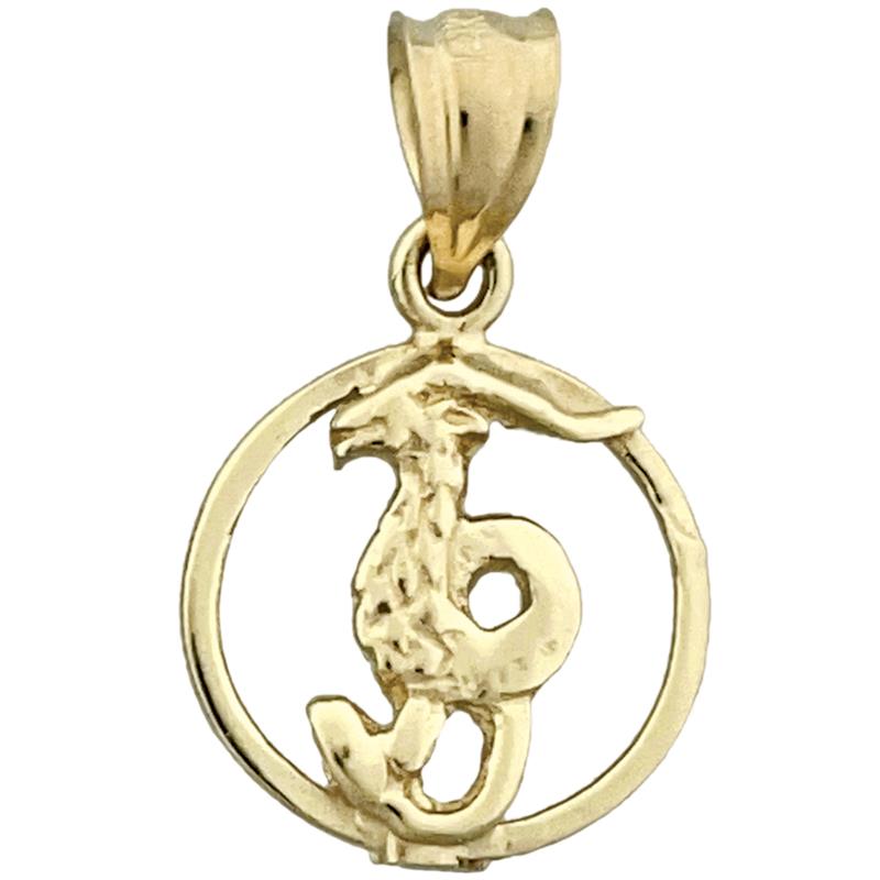 14K Gold Steinbock Sternzeichen Kreis-Charm