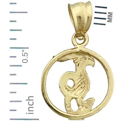 14K Gold Steinbock Sternzeichen Kreis-Charm