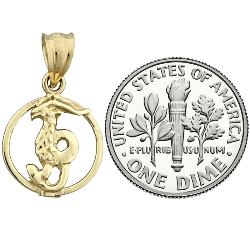 14K Gold Steinbock Sternzeichen Kreis-Charm
