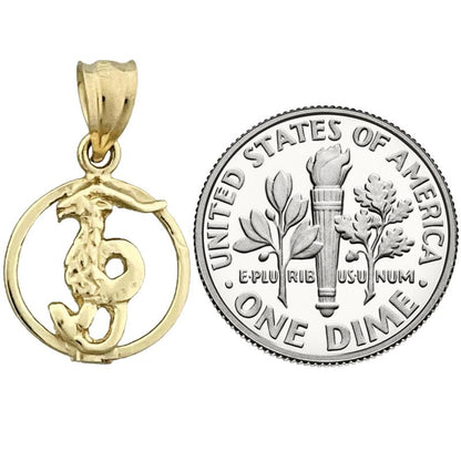 14K Gold Steinbock Sternzeichen Kreis-Charm