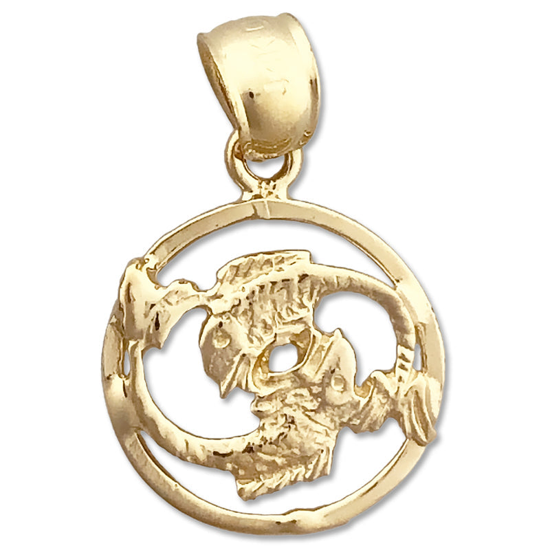 14K Gold Fische Sternzeichen Kreis-Charm