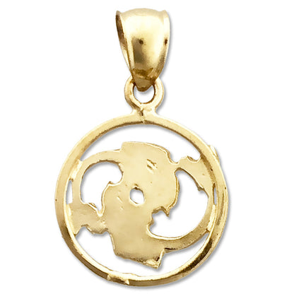 14K Gold Fische Sternzeichen Kreis-Charm