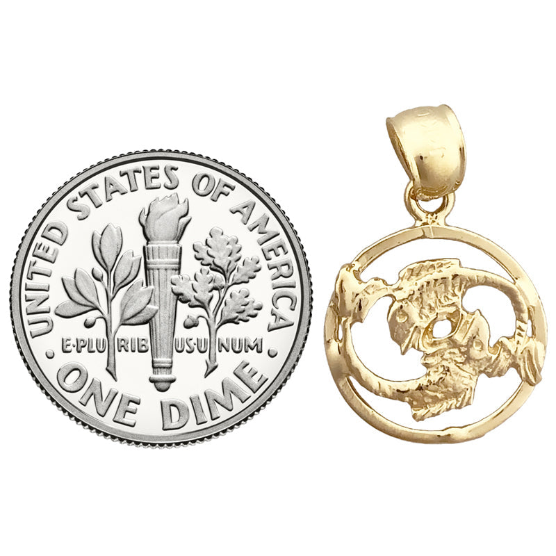 14K Gold Fische Sternzeichen Kreis-Charm