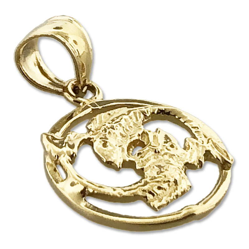 14K Gold Fische Sternzeichen Kreis-Charm