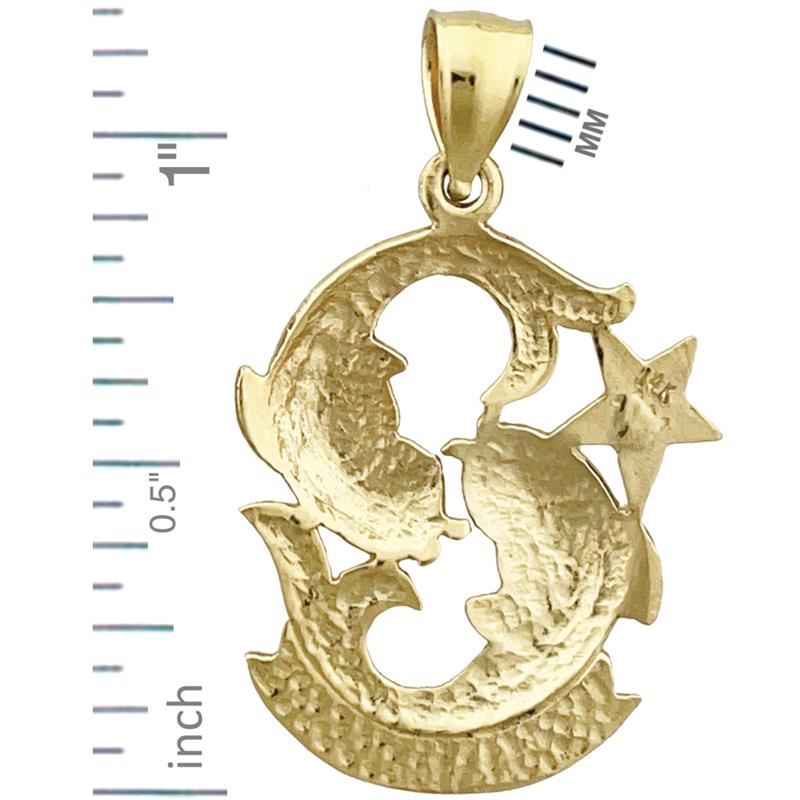 14K Gold Sternzeichen Fische Charm, 20 mm