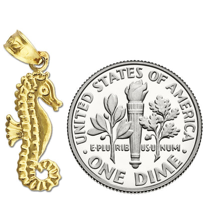 14K Gold Seepferdchen-Charm mit geringeltem Schwanz, Meereswelt-Design
