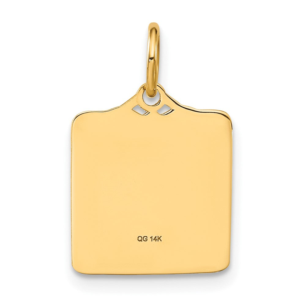 14K Gelbgold 14K Emailliert Rosa Gravierbar Birth Certificate Charm