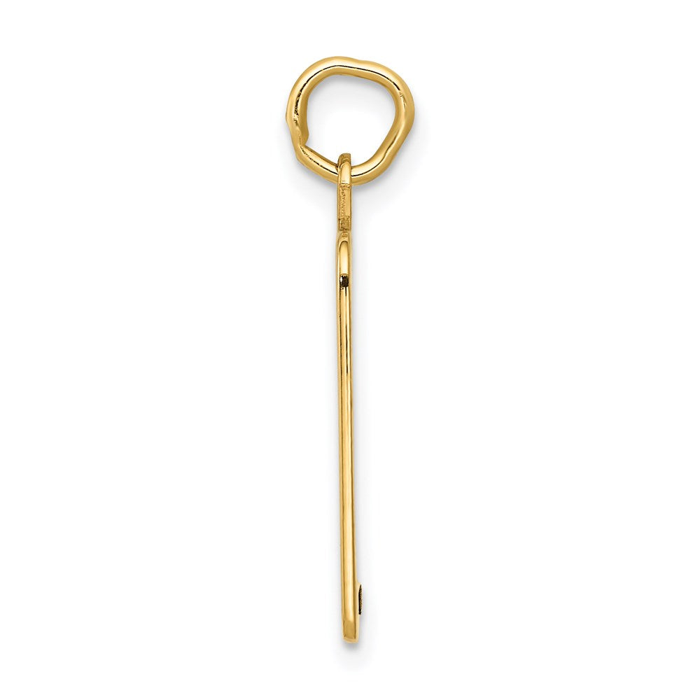 14K Gelbgold 14K Emailliert Rosa Gravierbar Birth Certificate Charm