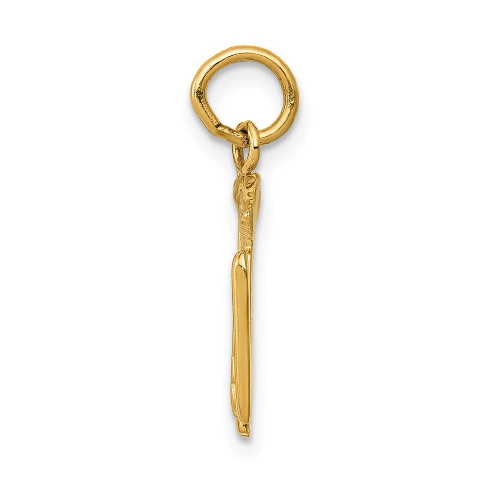 14K Gelbgold 14K Rn Registered Krankenschwester Charm