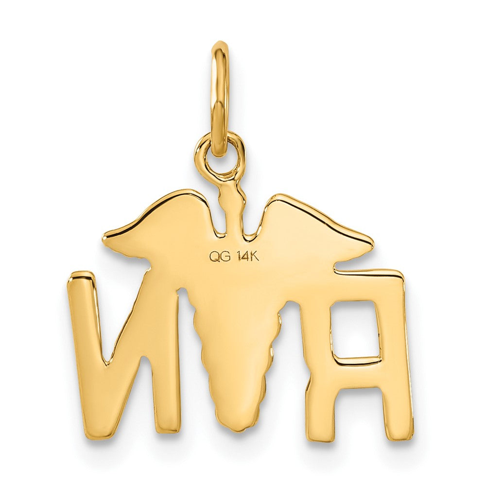14K Gelbgold 14K Rn Registered Krankenschwester Charm