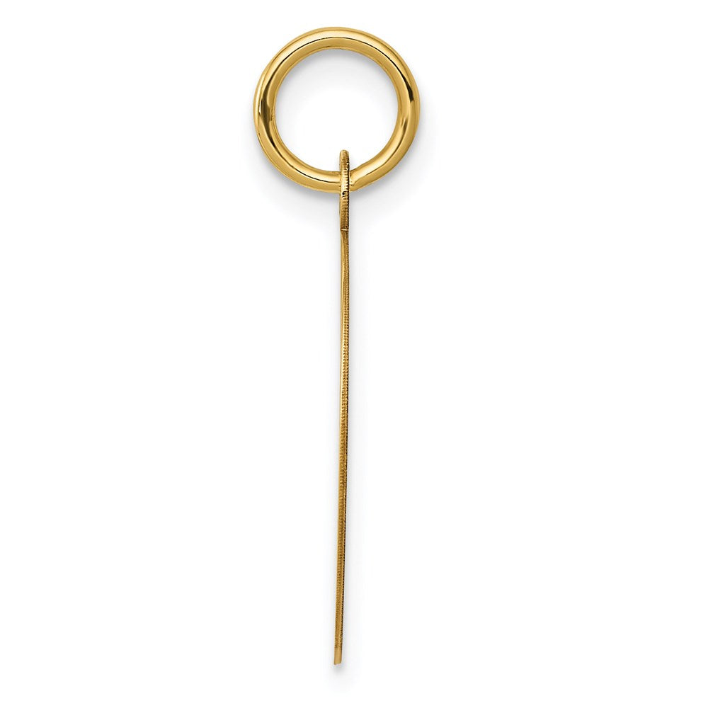 14K Gelbgold 14K Record Album Charm