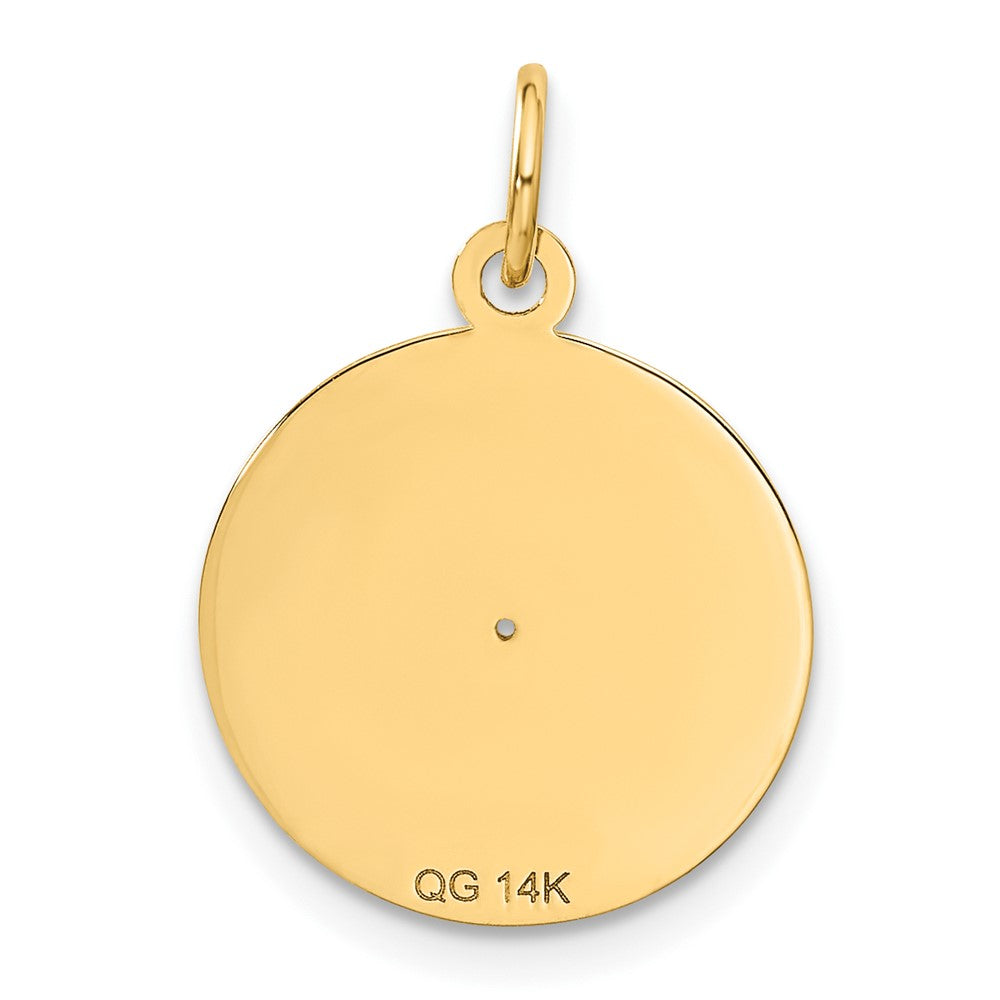 14K Gelbgold 14K Record Album Charm