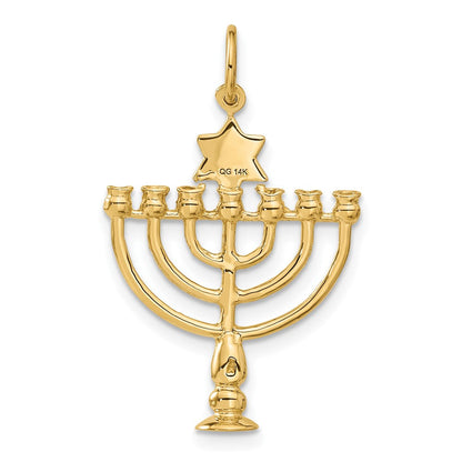 14K Gelbgold 14K 3d Menorah Charm