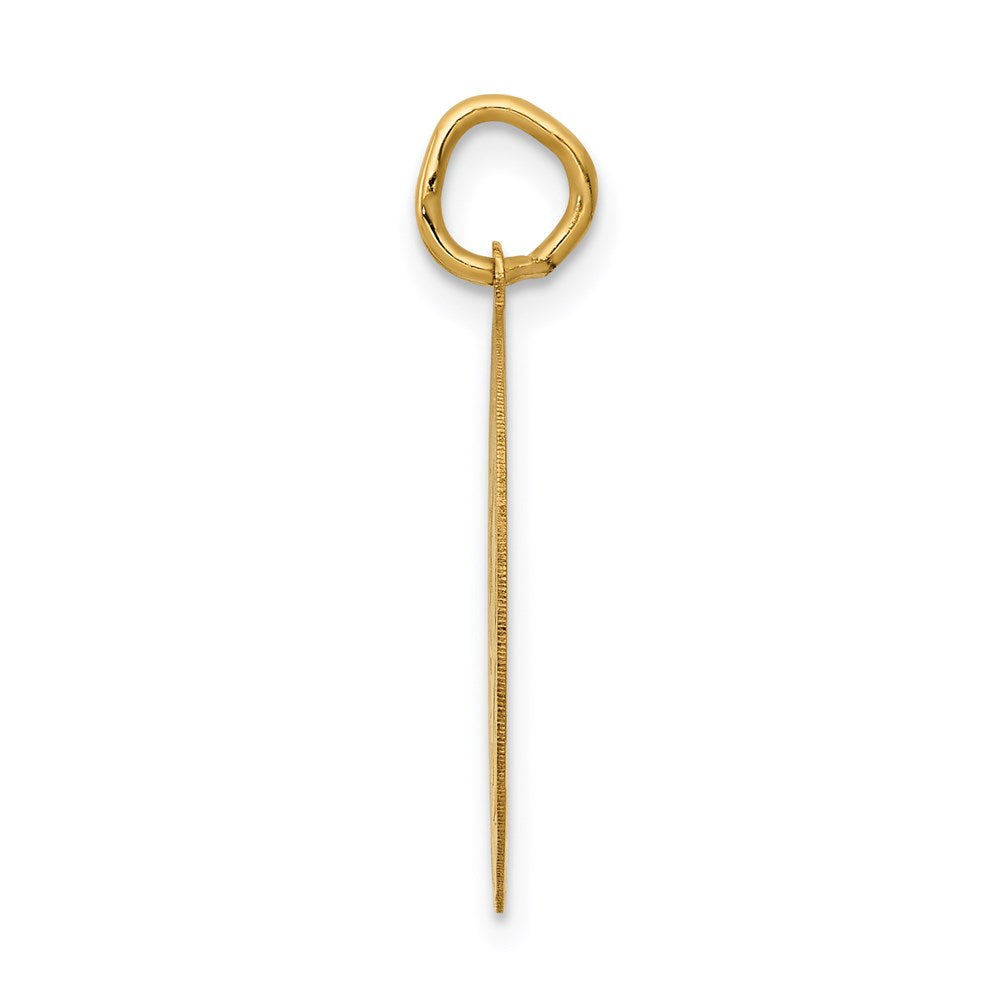 14K Gelbgold 14K Abschluss Day Plättchen Charm