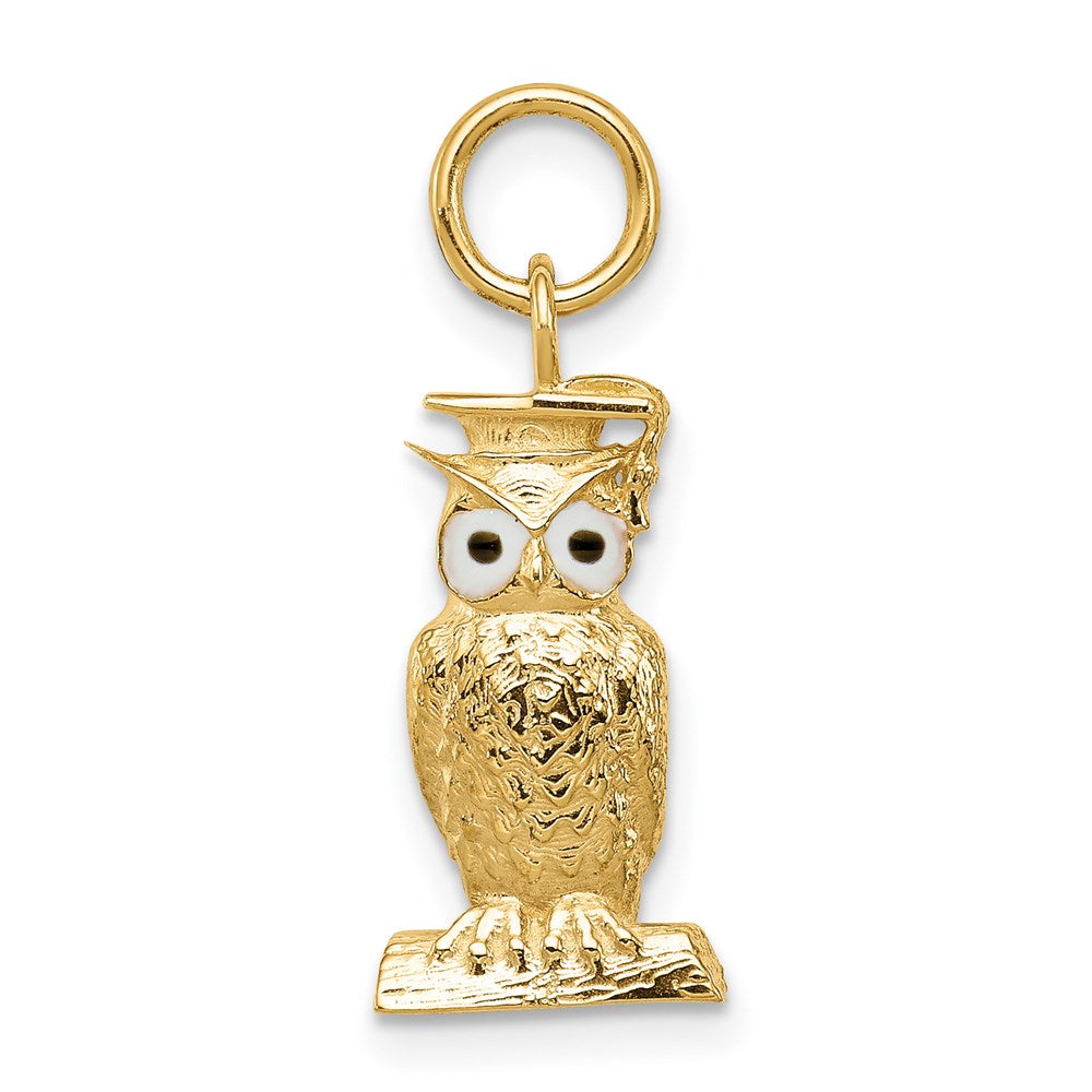 14K Gelbgold Abschluss Eule Charm mit Emaille