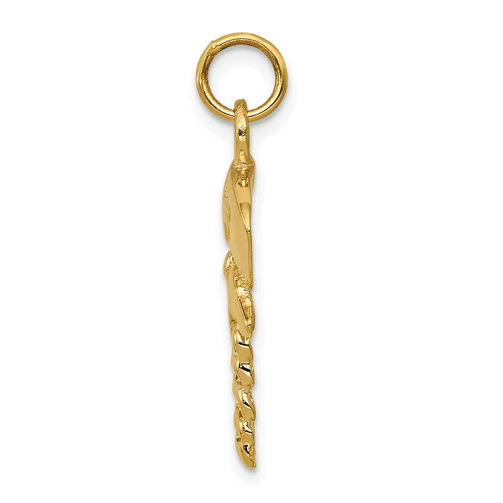 14K Gelbgold 14K Krankenschwester Symbol Charm