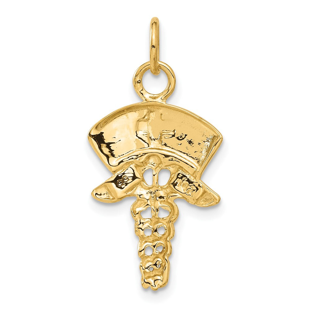 14K Gelbgold 14K Krankenschwester Symbol Charm