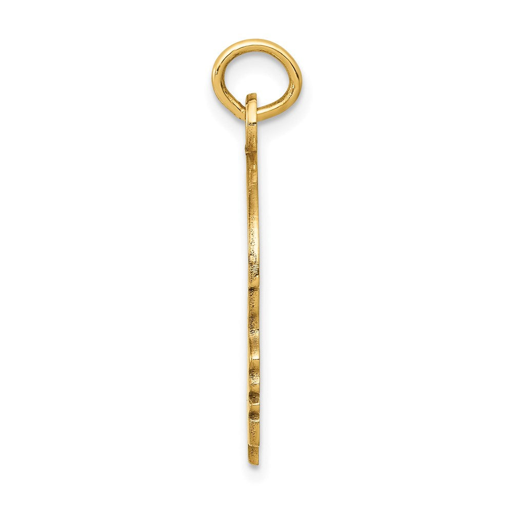 14K Gelbgold 14K Massiv Poliert Boys Kopf Charm
