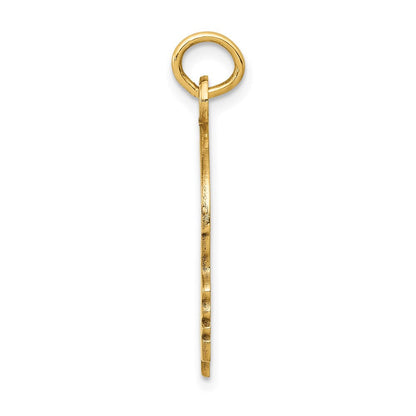 14K Gelbgold 14K Massiv Poliert Boys Kopf Charm