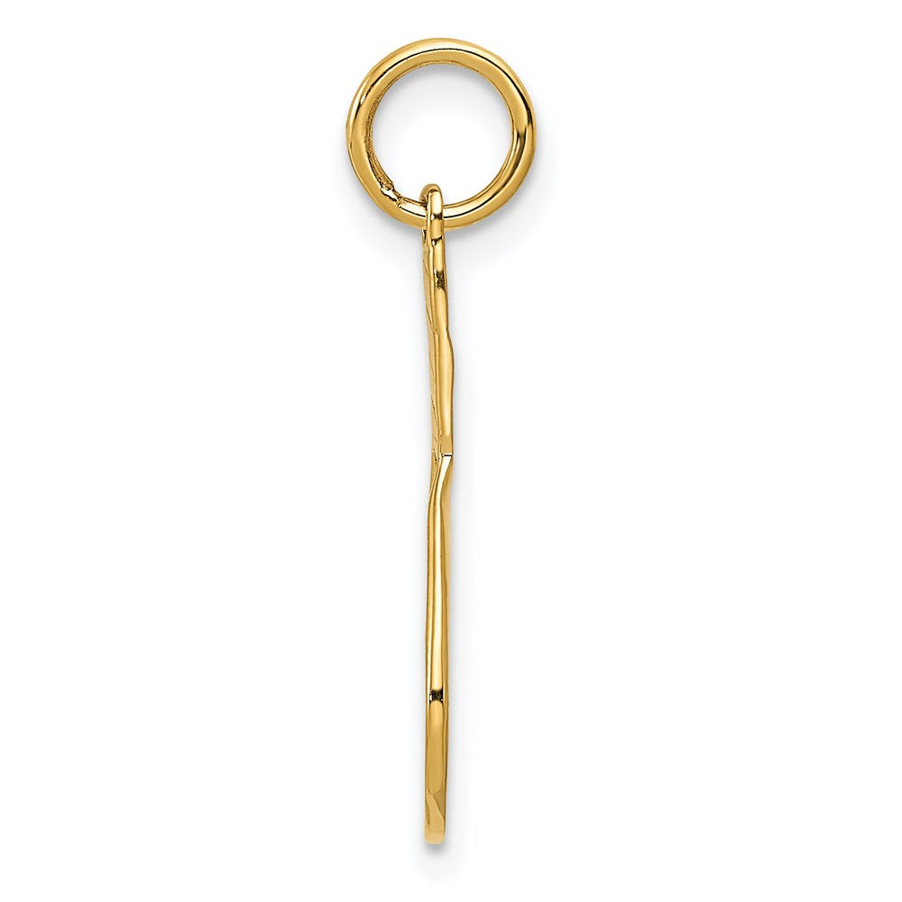 14K Gelbgold 14K Schläger Charm