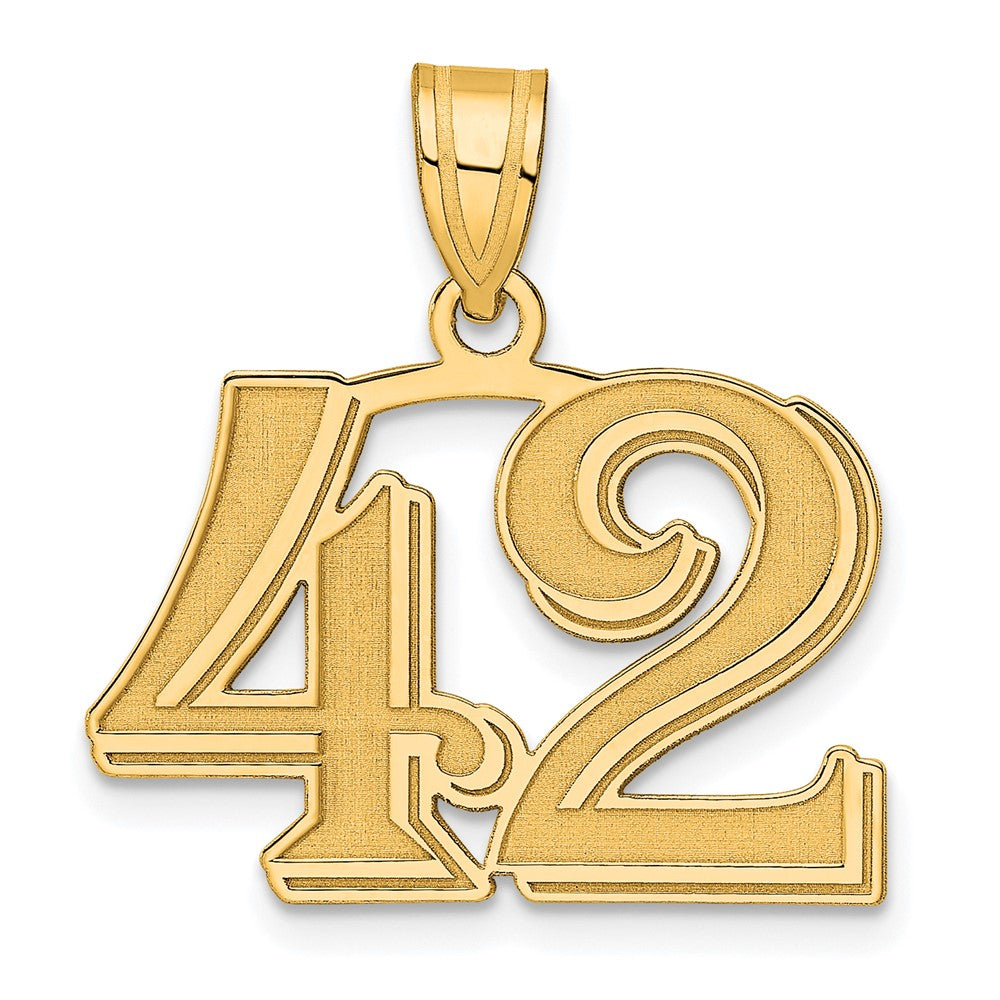 14K Gelbgold polierter geätzter Anhänger „Zahl 42“