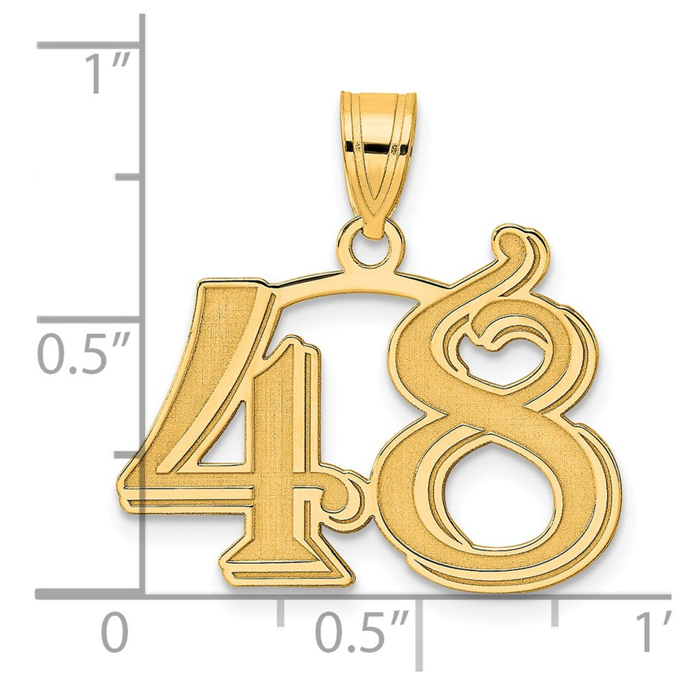 14K Gelbgold Polierter Geätzter Anhänger Zahl 48