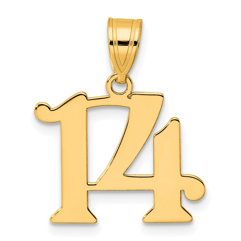 14K Gelbgold Polierter Anhänger „Zahl 14