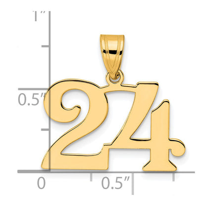 14K Gelbgold Polierter Anhänger Zahl 24