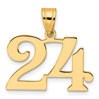 14K Gelbgold Polierter Anhänger Zahl 24