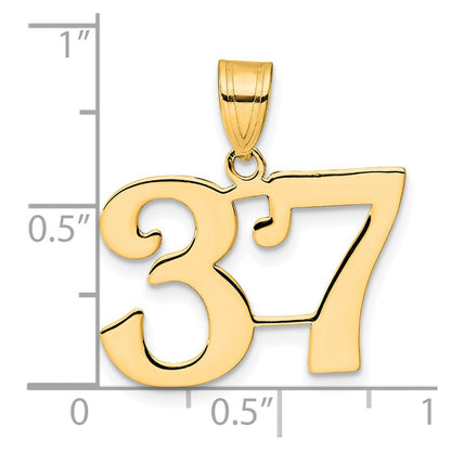 14K Gelbgold Polierter Anhänger Zahl 37