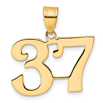 14K Gelbgold Polierter Anhänger Zahl 37
