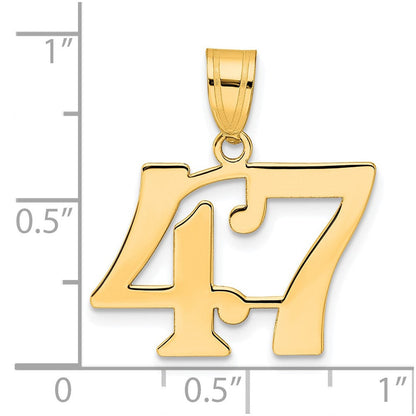 14K Gelbgold polierter Anhänger Zahl 47