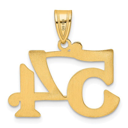 14K Gelbgold polierter Anhänger Zahl 54