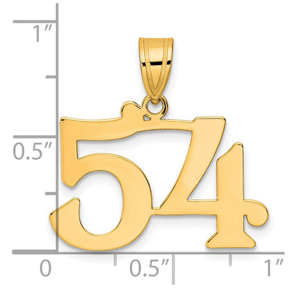 14K Gelbgold polierter Anhänger Zahl 54