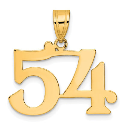 14K Gelbgold polierter Anhänger Zahl 54