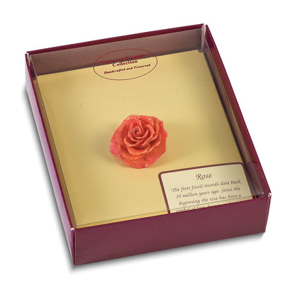 Mode Lacquer Dipped Rosa Echt Rose Verstellbar Silberfarben Ring