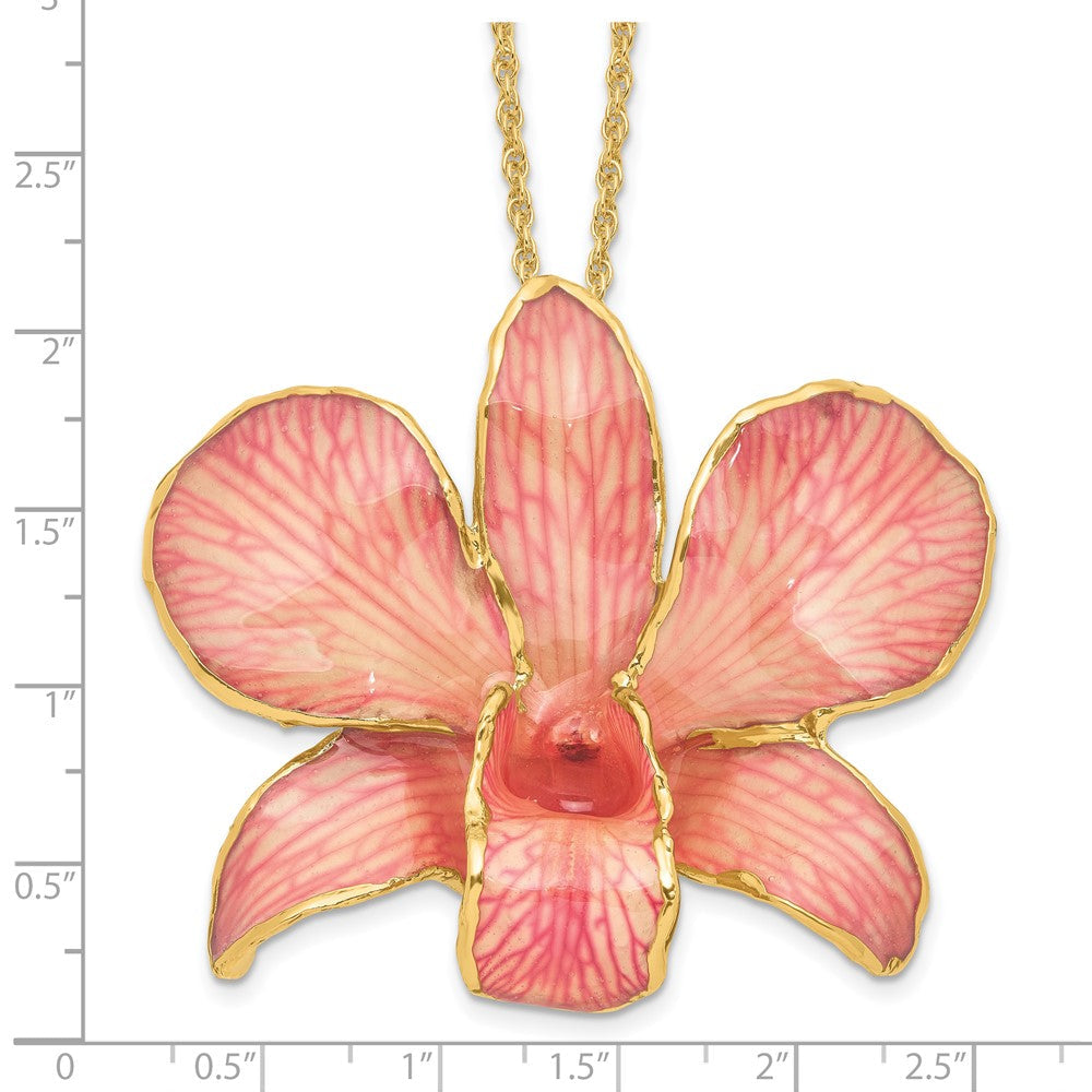 Mode 24K Gold-trim Lacquer Dipped Rosa Echt Dendrobium Orchidee 20 Zoll Goldfarben Halskette