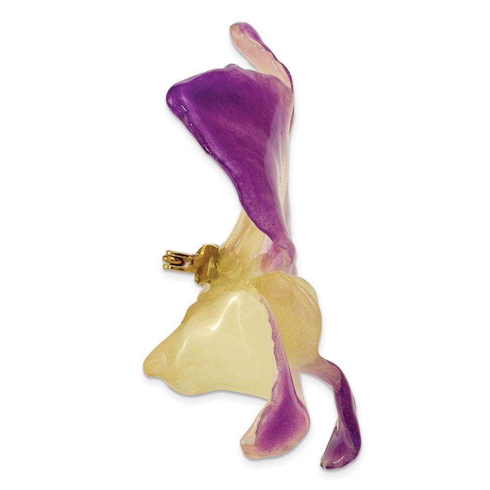 Non Metal Lacquer Dipped Lila und Weiß Echt Dendrobium Orchidee Brosche