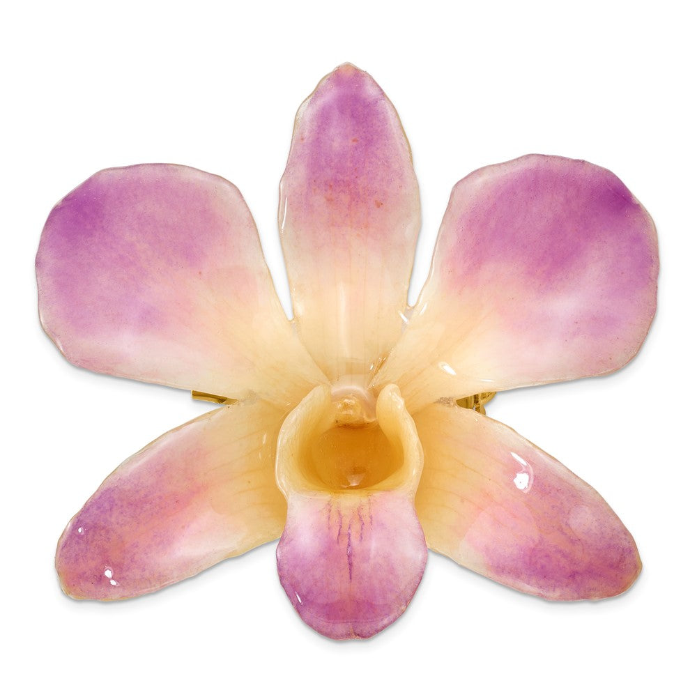 Non Metal Lacquer Dipped Lila und Weiß Echt Dendrobium Orchidee Brosche
