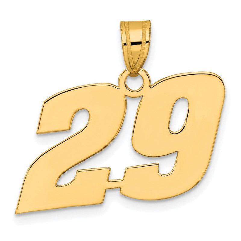 14K Gelbgold polierter Anhänger „Blockzahl 29“
