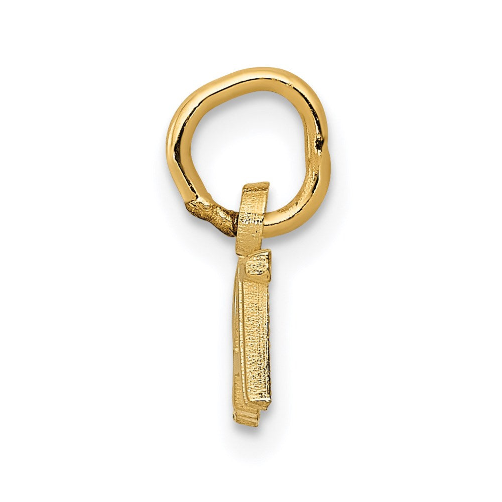 14K Gelbgold Poliert Brat Charm
