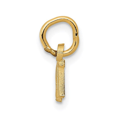 14K Gelbgold Poliert Brat Charm